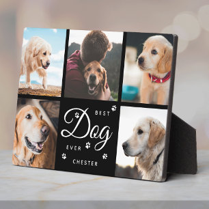 Best Dog Ever Memorial Paws Modern Photo Collage Fotoplaat