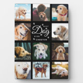 Best Dog Ever Memorial Rustic Photo Collage Paw Fotoplaat (voorkant)