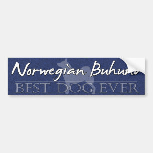 Best Dog Norway Buhund Bumpersticker