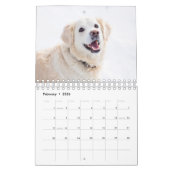 Best Dog Photo Kalender (Feb 2026)