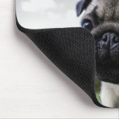 Best Dog Photo Muismat (Hoek)