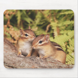 Best Friends Baby Chipmunks Muismat