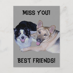 Best Friends Border Collie & German Shepherd Briefkaart