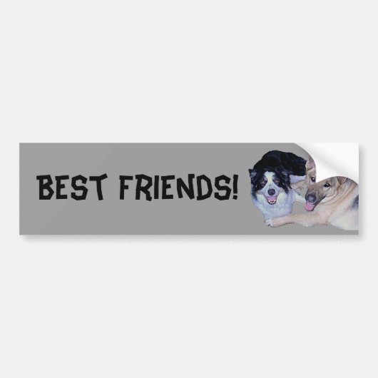 Best Friends Border Collie & German Shepherd Bumpersticker (Voorkant)