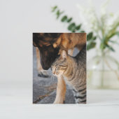 Best Friends-Cat & German Shepherd Post Cards Briefkaart (Staand voorkant)