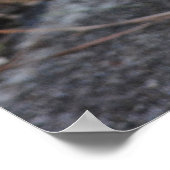 Best Friends - Cat & German Shepherd Print (Hoek)