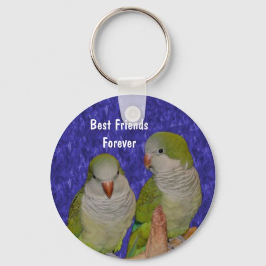 Best Friends Cute Bird Friendship Sleutelhanger (Voorkant)