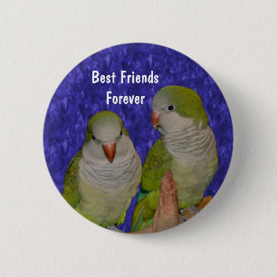 Best Friends Cute Birds Friendship Button