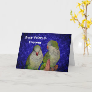 Best Friends Forever Cute Birds Friendship Kaart