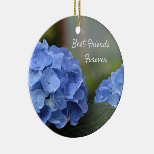 Best Friends Forever Hydrangeas Keramisch Ornament (Rechts)