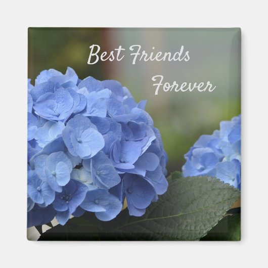 Best Friends Forever Hydrangeas Magneet (Voorkant)