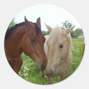 Best Friends Forever - Paarden Ronde Sticker