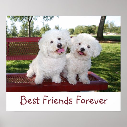 Best Friends Forever Poster Print (Voorkant)