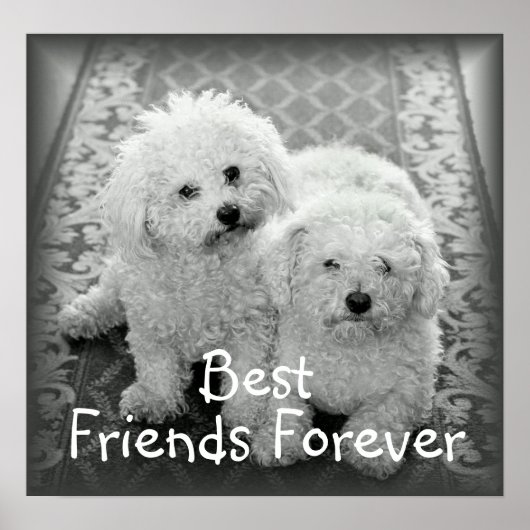 Best Friends Forever Poster Print (Voorkant)