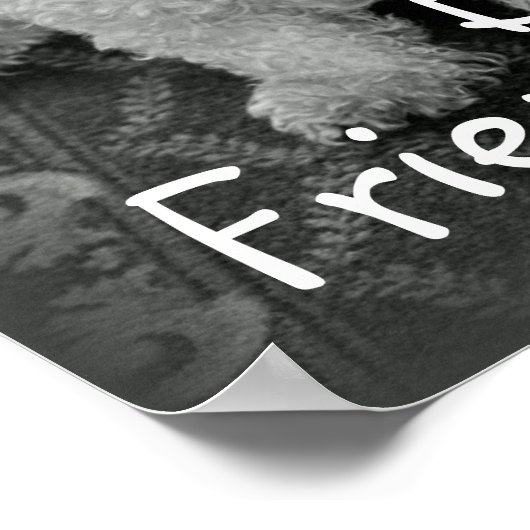 Best Friends Forever Poster Print (Hoek)