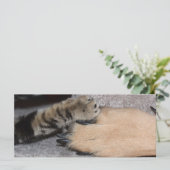 Best Friends Forever, Shirley Taylor (Staand voorkant)