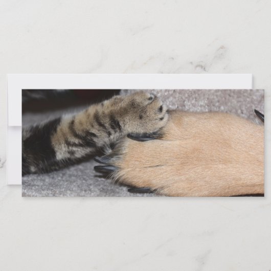 Best Friends Forever, Shirley Taylor (Voorkant)