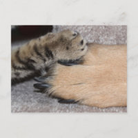 Best Friends Forever, Shirley Taylor