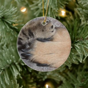 Best Friends Forever, Shirley Taylor Keramisch Ornament