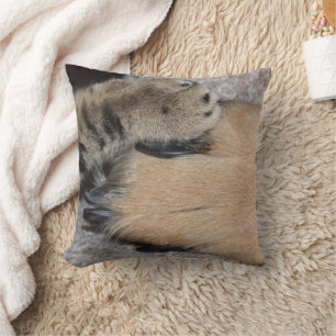 Best Friends Forever, Shirley Taylor Kussen