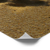 Best Friends Hand Prints (Hoek)