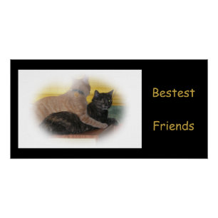 Best Friends Poster Perfect Poster