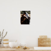 Best Friends Poster/ Print (Keuken)