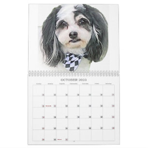 Best of K-Cee Cute Zuchon Dog 2023-2024 Calendar Kalender