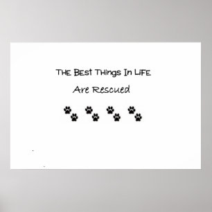 Best Things In Life Are Rescued Poster