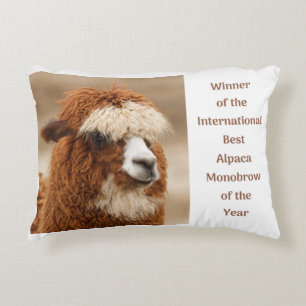 Beste Alpaca Monowenkbrauw Accent Kussen