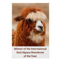 Beste Alpaca Monowenkbrauw