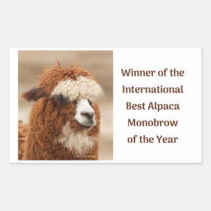 Beste Alpaca Monowenkbrauw Rechthoekige Sticker