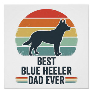 Beste Blue Heeler vader ooit vintage honden shirt Perfect Poster
