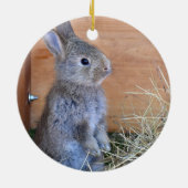 BESTE BUNNY OOIT Rabbit Foto gepersonaliseerd Keramisch Ornament (Achterkant)