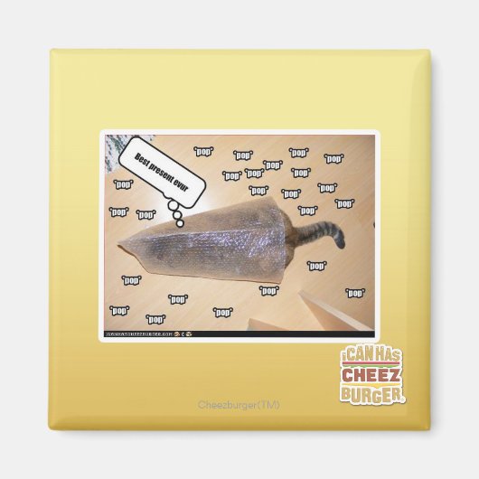 Beste cadeau evur magneet (Voorkant)