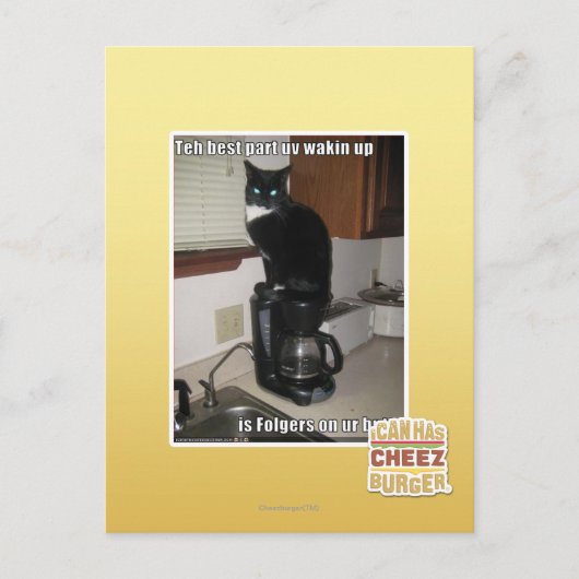 beste deel uvwakin omhoog briefkaart (Voorkant)