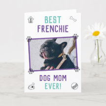 Beste Franse-hond-moeder ooit Moederdag