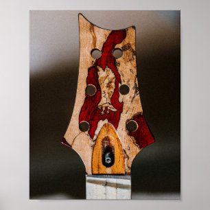 Beste gitarist ooit poster