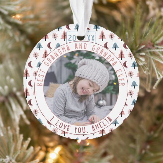 Beste grootouders Bomen Pastel Keepsake Foto Ornament (Boom)