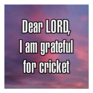 Beste HEER, ik ben dankbaar voor cricket Perfect Poster
