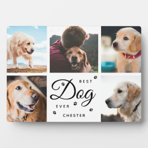 Beste Hond Ooit Herdenkingspooten Moderne Fotocoll Fotoplaat