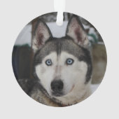 BESTE HOND OOIT Rood Geruit Gepersonaliseerd Ornament (achterkant)