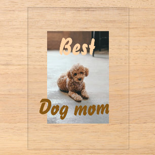 Beste hondenmoeder bruine plas huisdier hond kat m acryl uitnodigingen