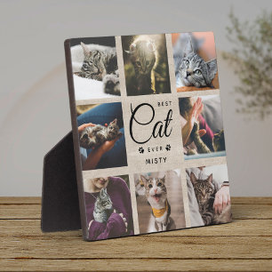 Beste Kat Aller Tijden Herdenkingsgeschenk Rustiek Fotoplaat
