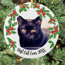 Beste Kat Kerstmis of Pet Memorial