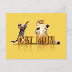 Beste kattemoeder ooit cadeau voor kattenmam briefkaart