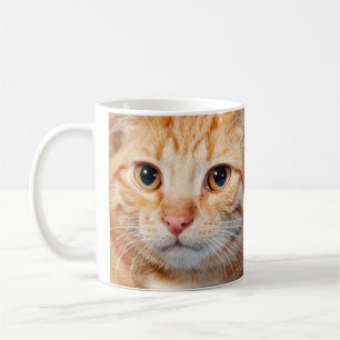 Beste kattenvader foto koffiemok