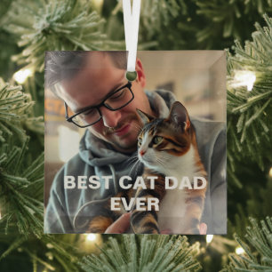 Beste kattenvader ooit – moderne aangepaste fotont glas ornament