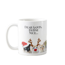 Beste Kerstman, Definieer Nice... Schattigee Katte