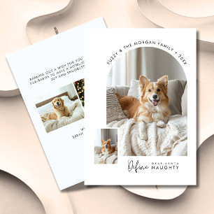 Beste Kerstman Definieer Ondeugende Hond Kerstboog Feestdagenkaart